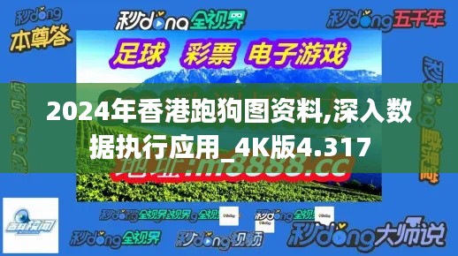 2024年香港跑狗图资料,深入数据执行应用_4K版4.317