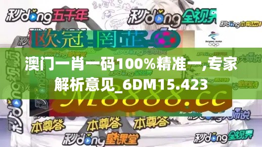 澳门一肖一码100%精准一,专家解析意见_6DM15.423