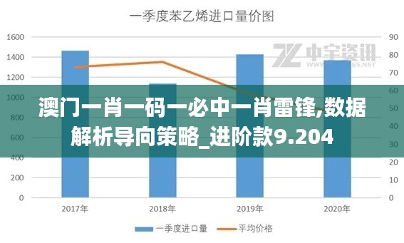 澳门一肖一码一必中一肖雷锋,数据解析导向策略_进阶款9.204