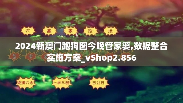 2024新澳门跑狗图今晚管家婆,数据整合实施方案_vShop2.856