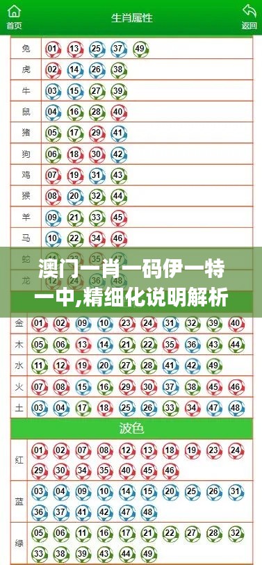 澳门一肖一码伊一特一中,精细化说明解析_7DM17.182