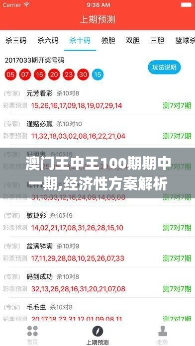 澳门王中王100期期中一期,经济性方案解析_交互版6.253