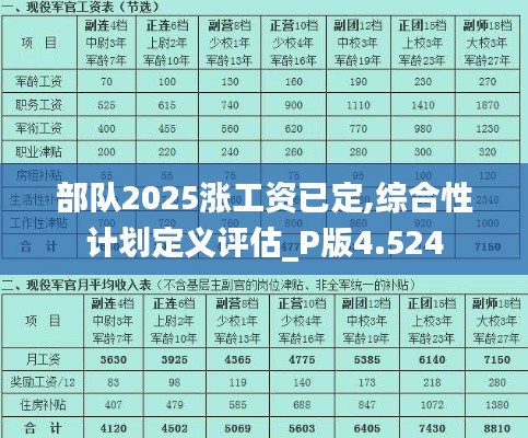 部队2025涨工资已定,综合性计划定义评估_P版4.524