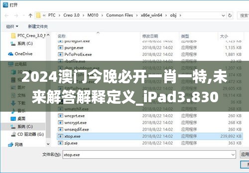 2024澳门今晚必开一肖一特,未来解答解释定义_iPad3.830