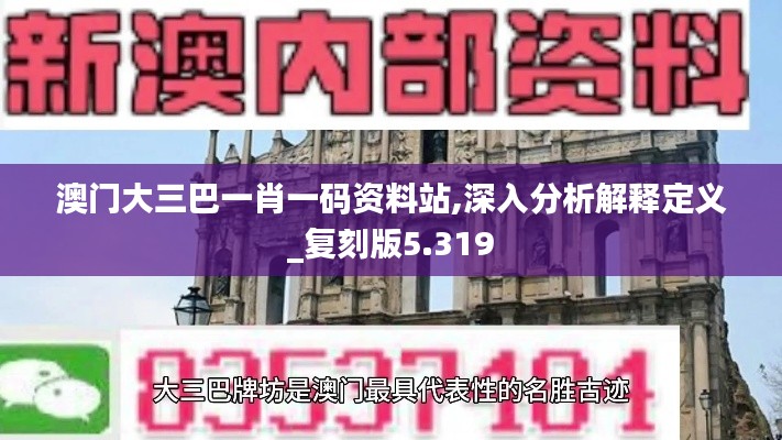 澳门大三巴一肖一码资料站,深入分析解释定义_复刻版5.319