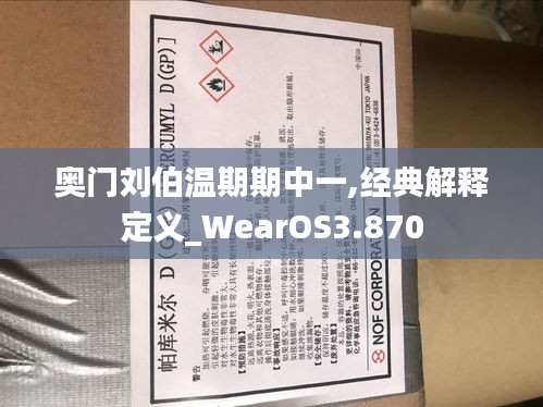 奥门刘伯温期期中一,经典解释定义_WearOS3.870