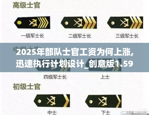 2025年部队士官工资为何上涨,迅速执行计划设计_创意版1.591