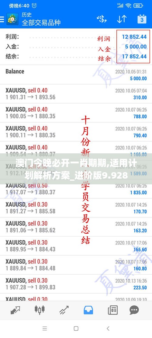 澳门今晚必开一肖期期,适用计划解析方案_进阶版9.928