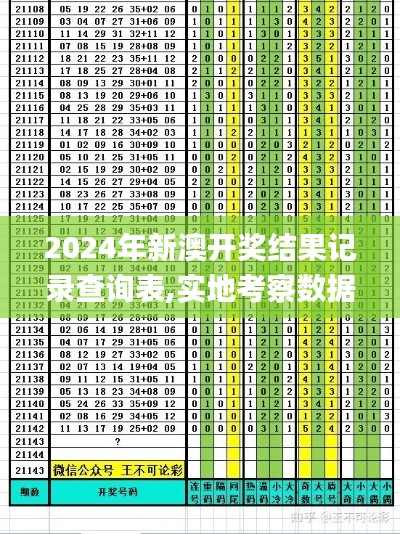 2024年新澳开奖结果记录查询表,实地考察数据应用_W10.403