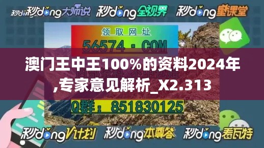 澳门王中王100%的资料2024年,专家意见解析_X2.313