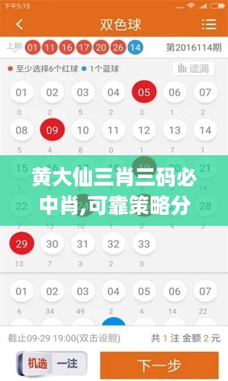 黄大仙三肖三码必中肖,可靠策略分析_3DM7.675