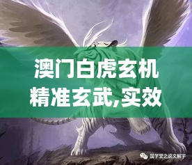 澳门白虎玄机精准玄武,实效设计方案_标配版10.305