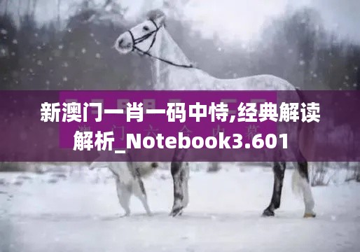 新澳门一肖一码中恃,经典解读解析_Notebook3.601