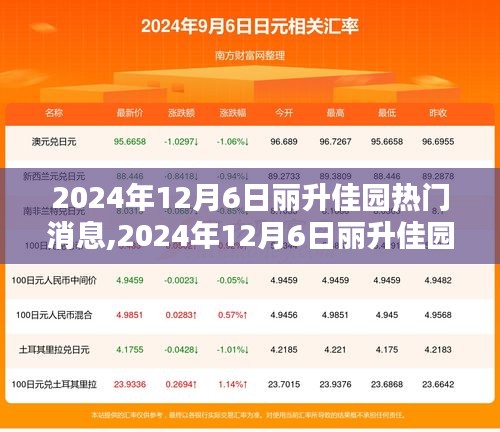 丽升佳园最新热点消息速递，2024年12月6日热门资讯一览