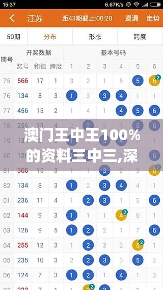 澳门王中王100%的资料三中三,深入数据应用计划_Superior10.876