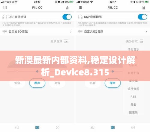新澳最新内部资料,稳定设计解析_Device8.315