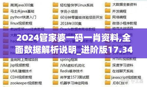 2O24管家婆一码一肖资料,全面数据解析说明_进阶版17.346