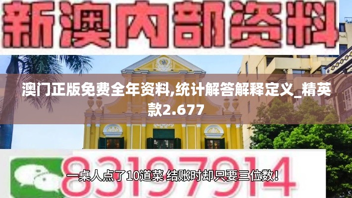 澳门正版免费全年资料,统计解答解释定义_精英款2.677