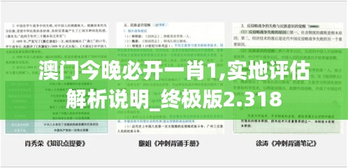 澳门今晚必开一肖1,实地评估解析说明_终极版2.318