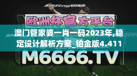 澳门管家婆一肖一码2023年,稳定设计解析方案_铂金版4.411