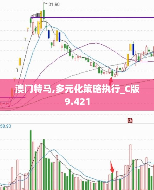 澳门特马,多元化策略执行_C版9.421