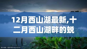 十二月西山湖蜕变之旅，学习成就自信，拥抱湖畔新篇章