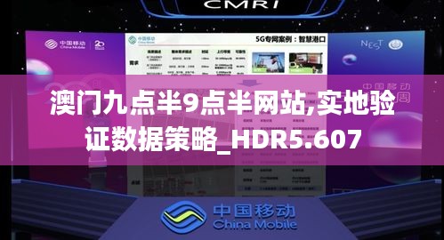 澳门九点半9点半网站,实地验证数据策略_HDR5.607