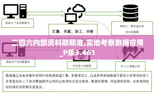 二四六内部资料期期准,实地考察数据应用_P版3.461