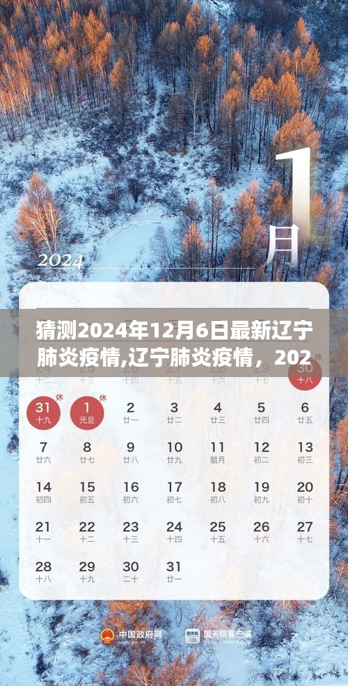 2024年12月6日辽宁肺炎疫情最新观察与动态分析