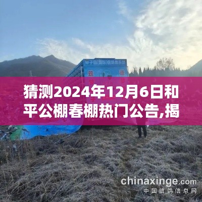 揭秘2024年和平公棚春棚热门公告，未来趋势预测与期待揭秘！