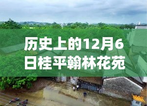 历史上的桂平翰林花苑，与自然美景的邂逅之旅——12月6日热门消息回顾