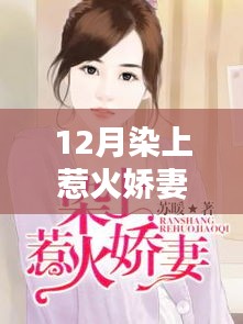 12月染上惹火娇妻最新章节与深度书评介绍