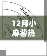 揭秘十二月小麻薯热门离心本，特性、优势与应用领域探讨