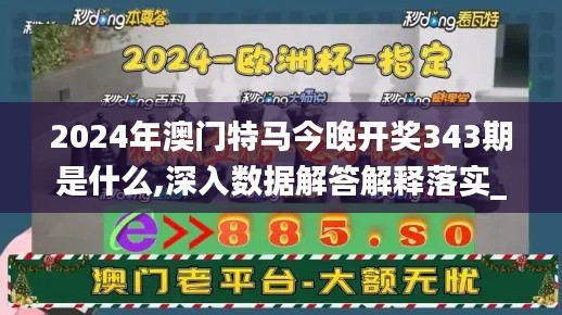 2024年澳门特马今晚开奖343期是什么,深入数据解答解释落实_U9.933