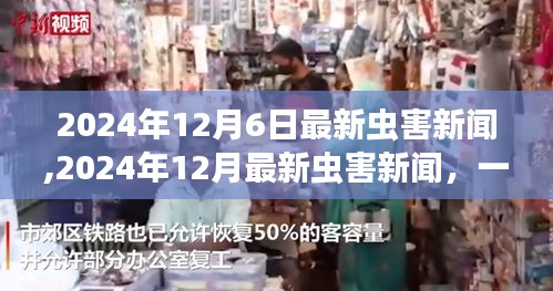 最新虫害新闻揭秘，自然美景之旅探寻内心宁静与平和之道（2024年12月）