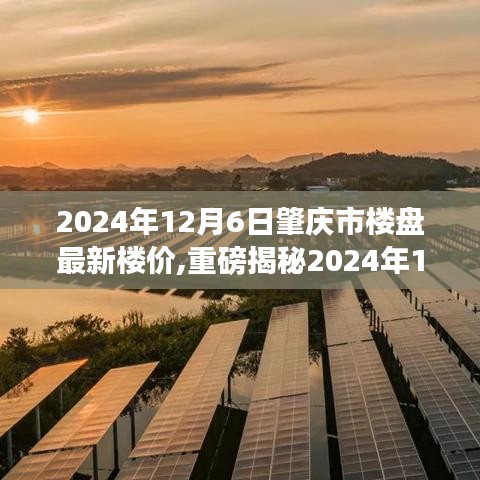 揭秘2024年肇庆市楼盘最新楼价，洞悉市场走势，购房指南助你明智决策