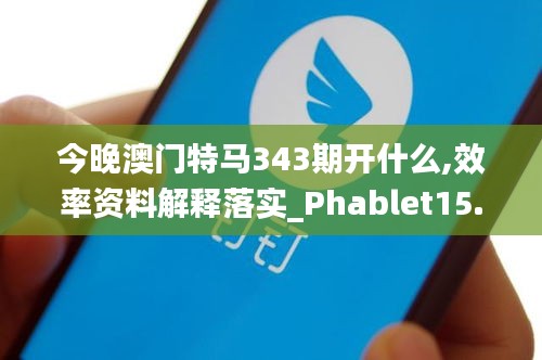 今晚澳门特马343期开什么,效率资料解释落实_Phablet15.855