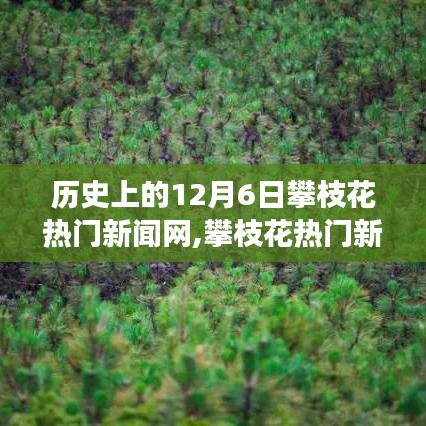 攀枝花热门新闻网，探寻自然秘境，心灵之旅启程日——历史上的12月6日回顾