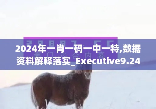 2024年一肖一码一中一特,数据资料解释落实_Executive9.243