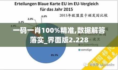 一码一肖100%精准,数据解答落实_界面版2.228