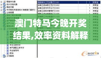 澳门特马今晚开奖结果,效率资料解释落实_vShop10.393