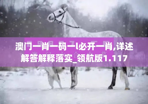 澳门一肖一码一l必开一肖,详述解答解释落实_领航版1.117