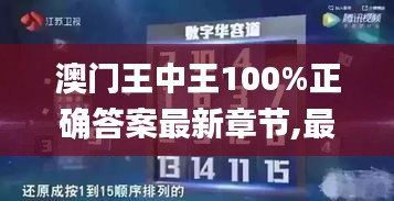 澳门王中王100%正确答案最新章节,最佳精选解释定义_tool2.249