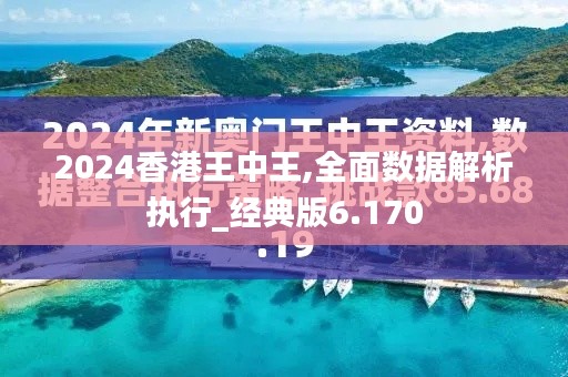 2024香港王中王,全面数据解析执行_经典版6.170