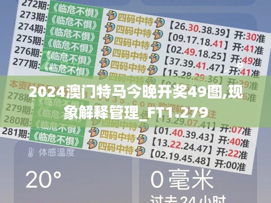 2024澳门特马今晚开奖49图,现象解释管理_FT1.279