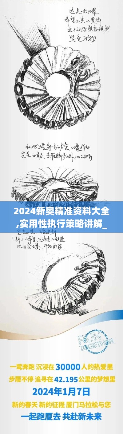 2024新奥精准资料大全,实用性执行策略讲解_WearOS10.195