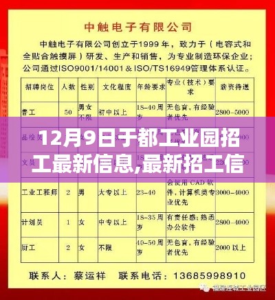 于都工业园最新招工信息速递，12月9日岗位更新