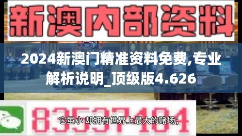 2024新澳门精准资料免费,专业解析说明_顶级版4.626