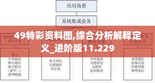 49特彩资料图,综合分析解释定义_进阶版11.229