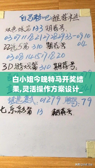 白小姐今晚特马开奖结果,灵活操作方案设计_投资版6.465